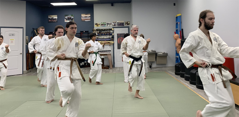 Adults karate class
